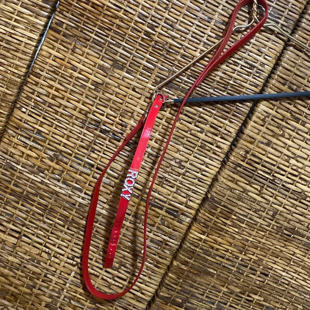EUC MATCHING Dog Collar and Leash set personalized ROXY